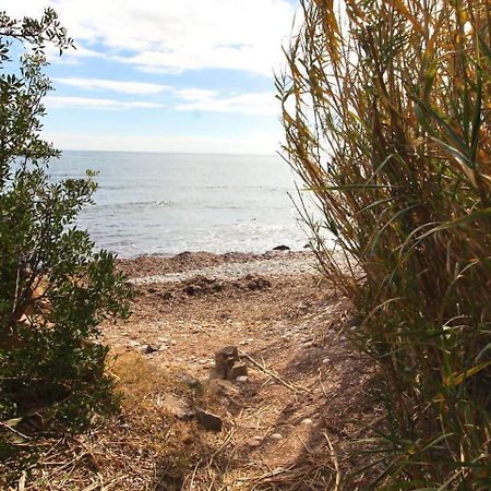 אלתיאה Chalet A 500M Del Mar מראה חיצוני תמונה
