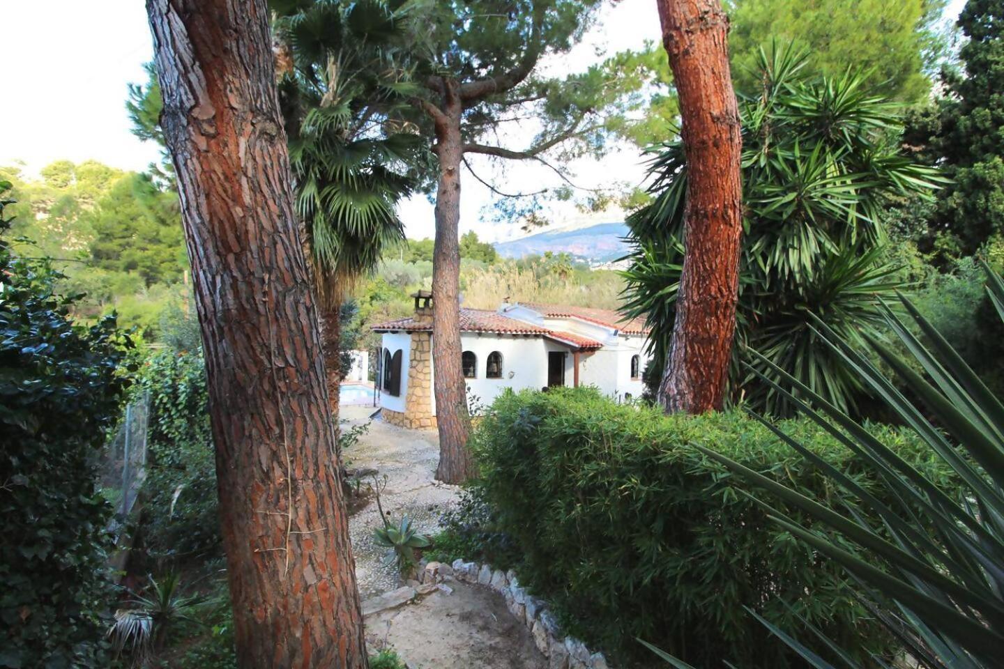 אלתיאה Chalet A 500M Del Mar מראה חיצוני תמונה